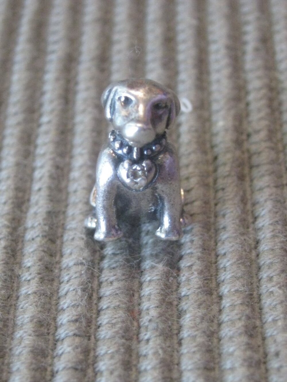 PANDORA - Labrador - 45$
